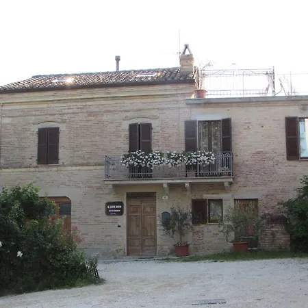 Il Leone Rosso Falerone